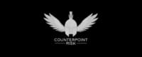 Counterpoint Risk